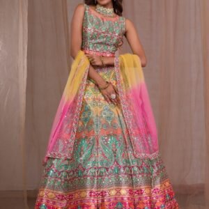 Multi Mirrorwork Banarasi Lehenga