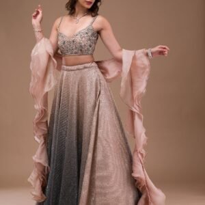 Pink Sequins Lycra Lehenga